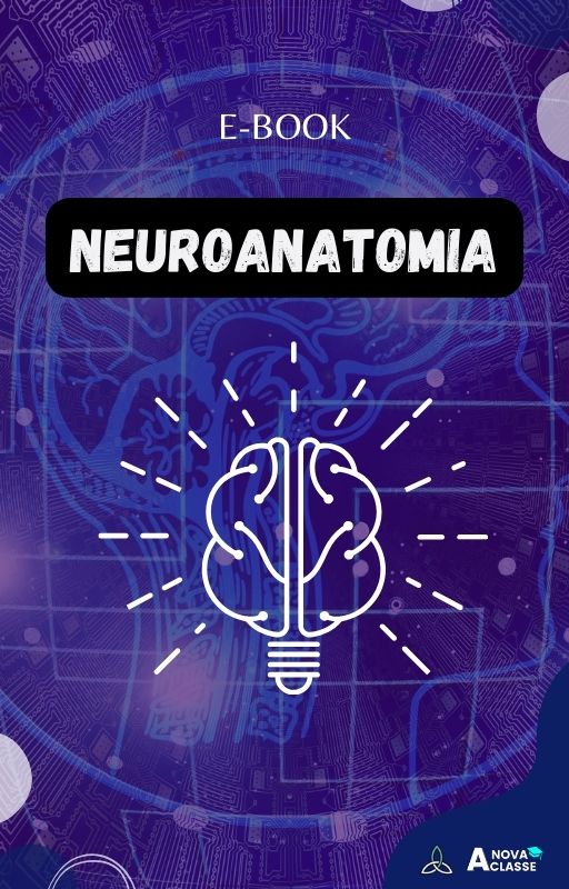 (Novo) NEUROANATOMIA (Rodrigo)